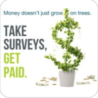 Survey Junkie Redemption (US)